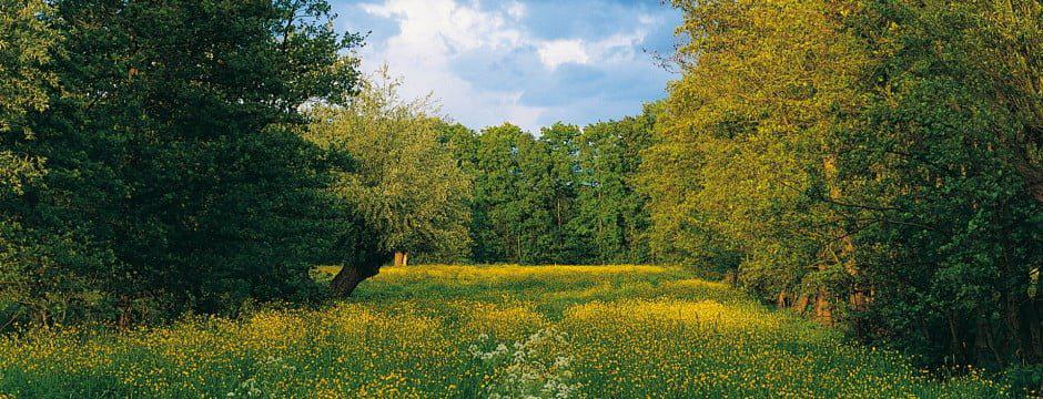 Dutch Cultural Landscape Association